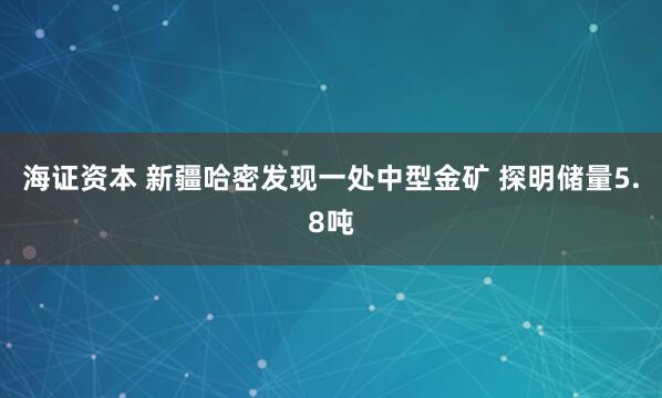海证资本 新疆哈密发现一处中型金矿 探明储量5.8吨