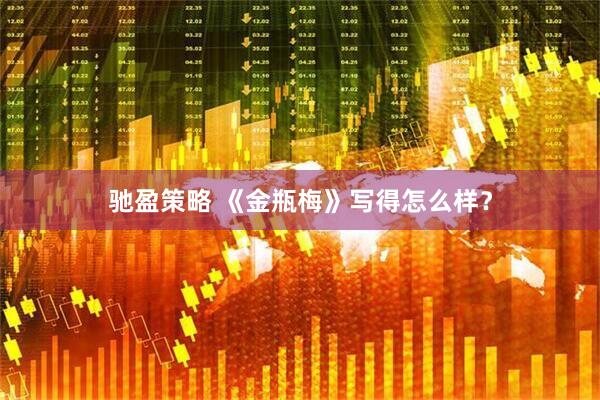 驰盈策略 《金瓶梅》写得怎么样？