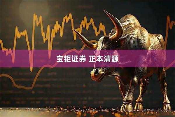 宝钜证券 正本清源