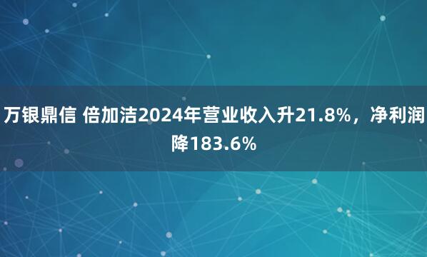 万银鼎信 倍加洁2024年营业收入升21.8%，净利润降183.6%