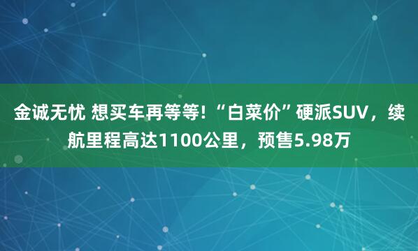 金诚无忧 想买车再等等! “白菜价”硬派SUV，续航里程高达1100公里，预售5.98万