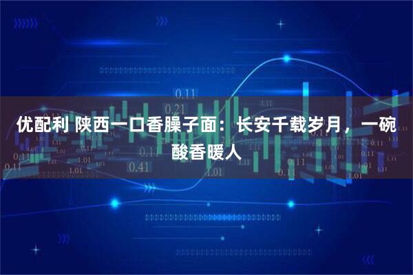 优配利 陕西一口香臊子面：长安千载岁月，一碗酸香暖人